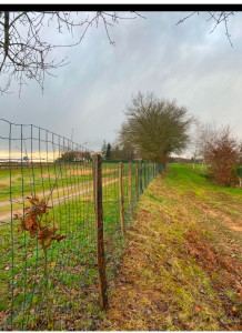Photo de galerie - Clôture Grillage