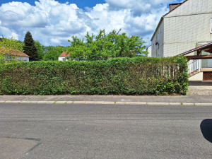 Photo de galerie - Après 