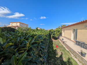 Photo de galerie - Taille de haies et d'arbustes