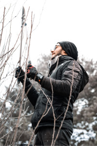 Photo de galerie - Nous vous proposons le taillage de vos arbres, fruitiers l’élagage ou l’abattage de vos arbres. N’hésitez pas à nous contacter pour avoir votre devis gratuit.