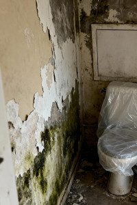 Photo de galerie - Artisan tout corps d'état - Rénovation