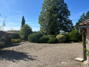 Photo de galerie - Taille de haies et d'arbustes