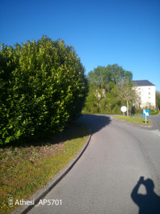 Photo de galerie - Avant  après 