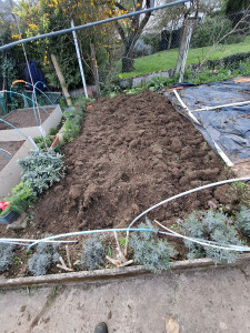 Photo de galerie - Désherbage après. 