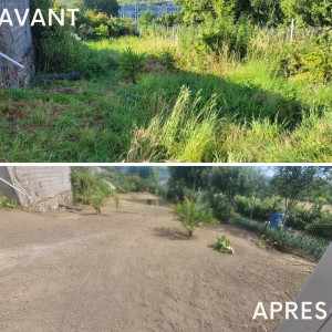 Photo de galerie - Tonte de pelouse - Débroussaillage