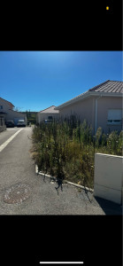 Photo de galerie - Tonte de pelouse - Débroussaillage