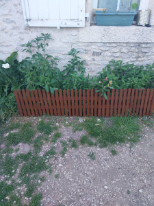 Photo de galerie - Paysagiste - Aménagement du jardin