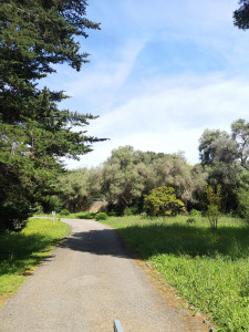 Photo de galerie - Domaine prestige, entretien 