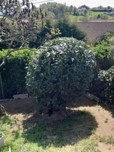 Photo de galerie - Jardinier