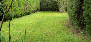 Photo de galerie - Tonte de pelouse 