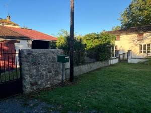 Photo de galerie - Retrait du lierre invasif