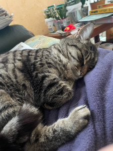 Photo de galerie - Tigroue, une belle rencontre !