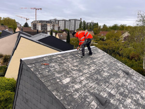 Photo de galerie - Changement, faîtage en zinc