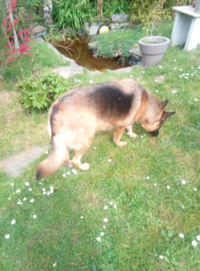 Photo de galerie - Sabah - 04/26