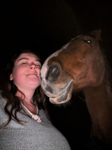 Photo de galerie - Pension chevaux
