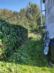 Photo de galerie - Taille haie 
