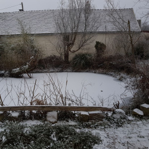 Photo de galerie - Création entretien marre et bassin 