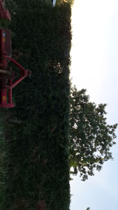 Photo de galerie - .