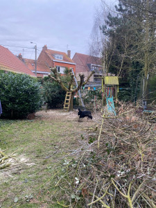 Photo de galerie - élagage 