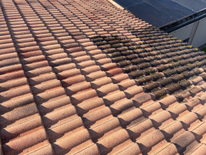 Photo de galerie - Démoussage toiture, avant / après . avec produit vert non polluant 