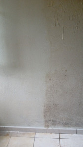 Photo de galerie - Nettoyage d'une maison après location 