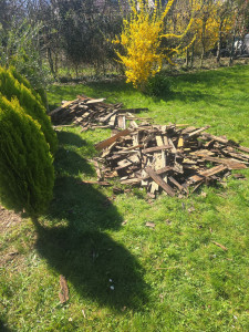 Photo de galerie - Bois débarrasser et mis à la déchetterie