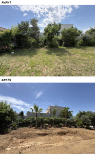 Photo de galerie -     Défrichage & Création d’un jardin méditerranéen / exotique