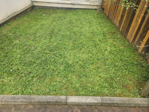 Photo de galerie - Faites nous confiance et confiez nous vos terrains et jardins.
AZ&R pour vous servir. 