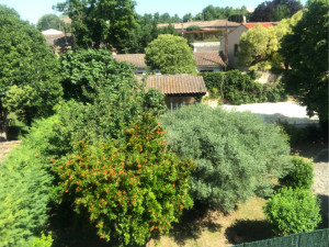 Photo de galerie - Toutes sorte d’espace vert 