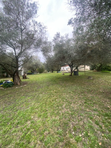 Photo de galerie - Tonte d’un jardin de 5000 m²