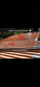 Photo de galerie - Toiture