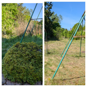 Photo de galerie - Débroussaillage jardin 