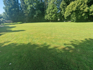 Photo de galerie - Paysagiste - Aménagement du jardin