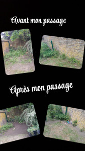 Photo de galerie - Désherbage et création d'un parterre de fleures 