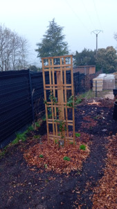 Photo de galerie - Paysagiste - Aménagement du jardin