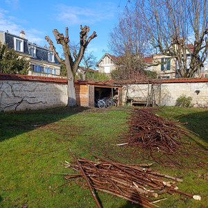 Photo de galerie - Elagage et coupe d'arbres