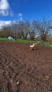 Photo de galerie - Passage motoculteur dans un jardin 