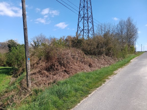 Photo de galerie - Avant les travaux