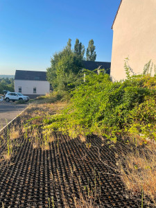 Photo de galerie - Contrat de prestation - Avant