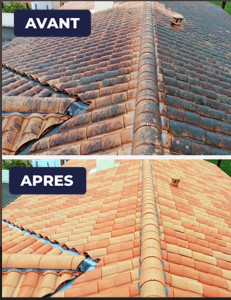 Photo de galerie - Nettoyage toiture haute pression