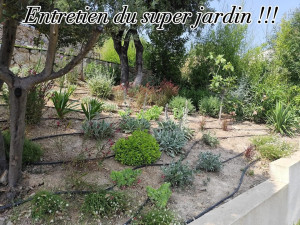 Photo de galerie - Entretien 