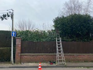 Photo de galerie - Rabattage de haies 