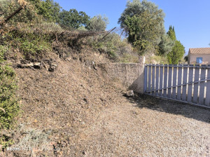 Photo de galerie - Tonte de pelouse - Débroussaillage