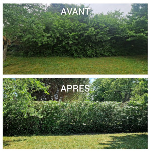 Photo de galerie - Avant après 