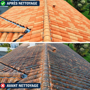 Photo de galerie - Nettoyage de toiture