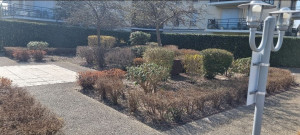Photo de galerie - Taille de haies & entretien des espaces verts