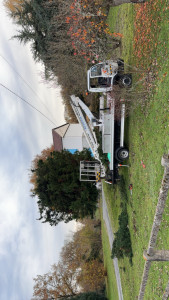 Photo de galerie - Taille