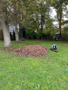 Photo de galerie - Ramassage des feuilles.