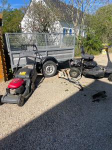 Photo de galerie - Tonte de pelouse (avec ramassage tondeuse autotractée) et (mulching sent ramasser avec tondeuse auto-tractée) débroussaillage sur la presqu'île de rhuys
