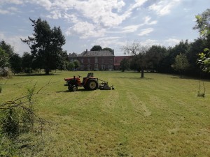 Photo de galerie - Tonte de pelouse - Débroussaillage